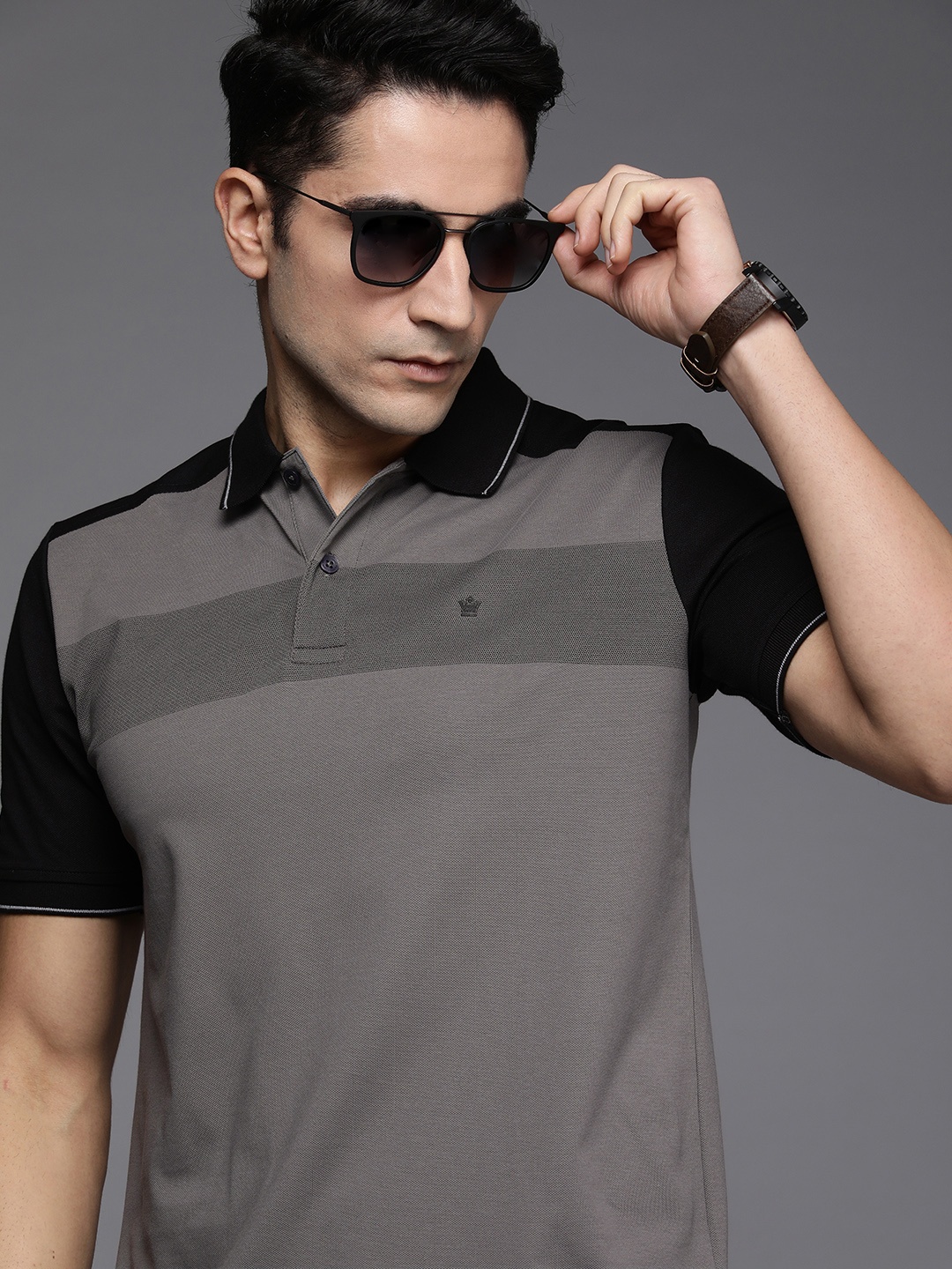 

Louis Philippe Men Grey & Black Colourblocked Polo Collar T-shirt