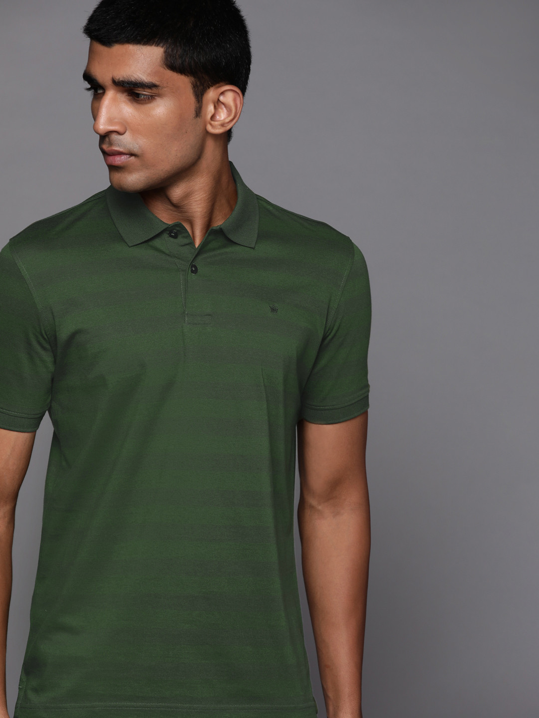 

Louis Philippe Men Olive Green Striped Pure Cotton T-shirt