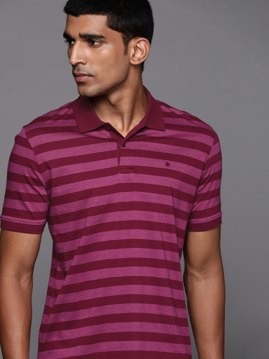 

Louis Philippe Men Pink & Burgundy Striped Pure Cotton T-shirt