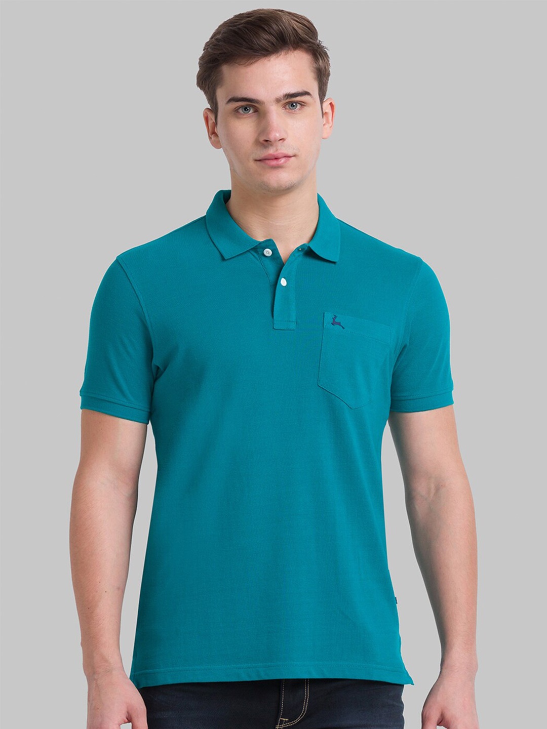 

Parx Men Green Polo Collar T-shirt