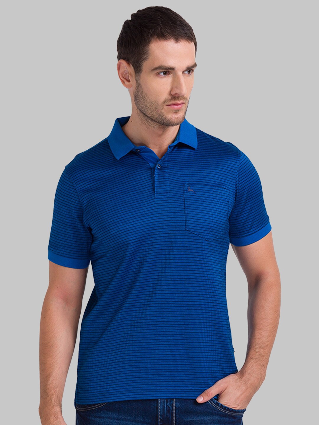 

Parx Men Blue Striped Polo Collar Pure Cotton T-shirt