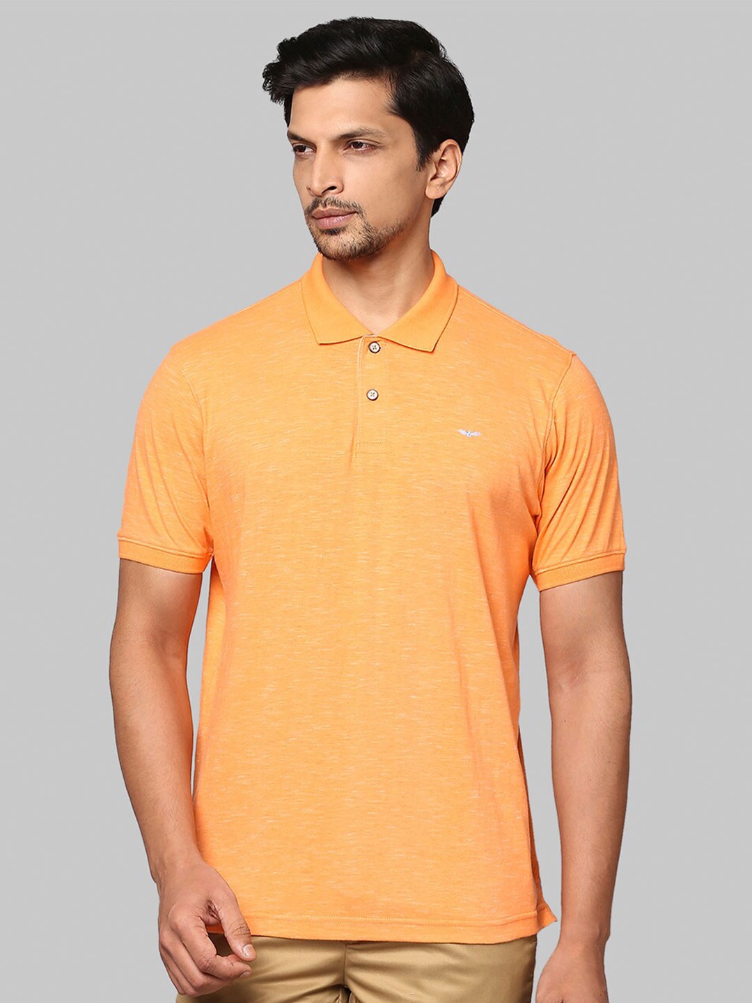 

Park Avenue Men Orange & very light tangelo Polo Collar Slim Fit T-shirt