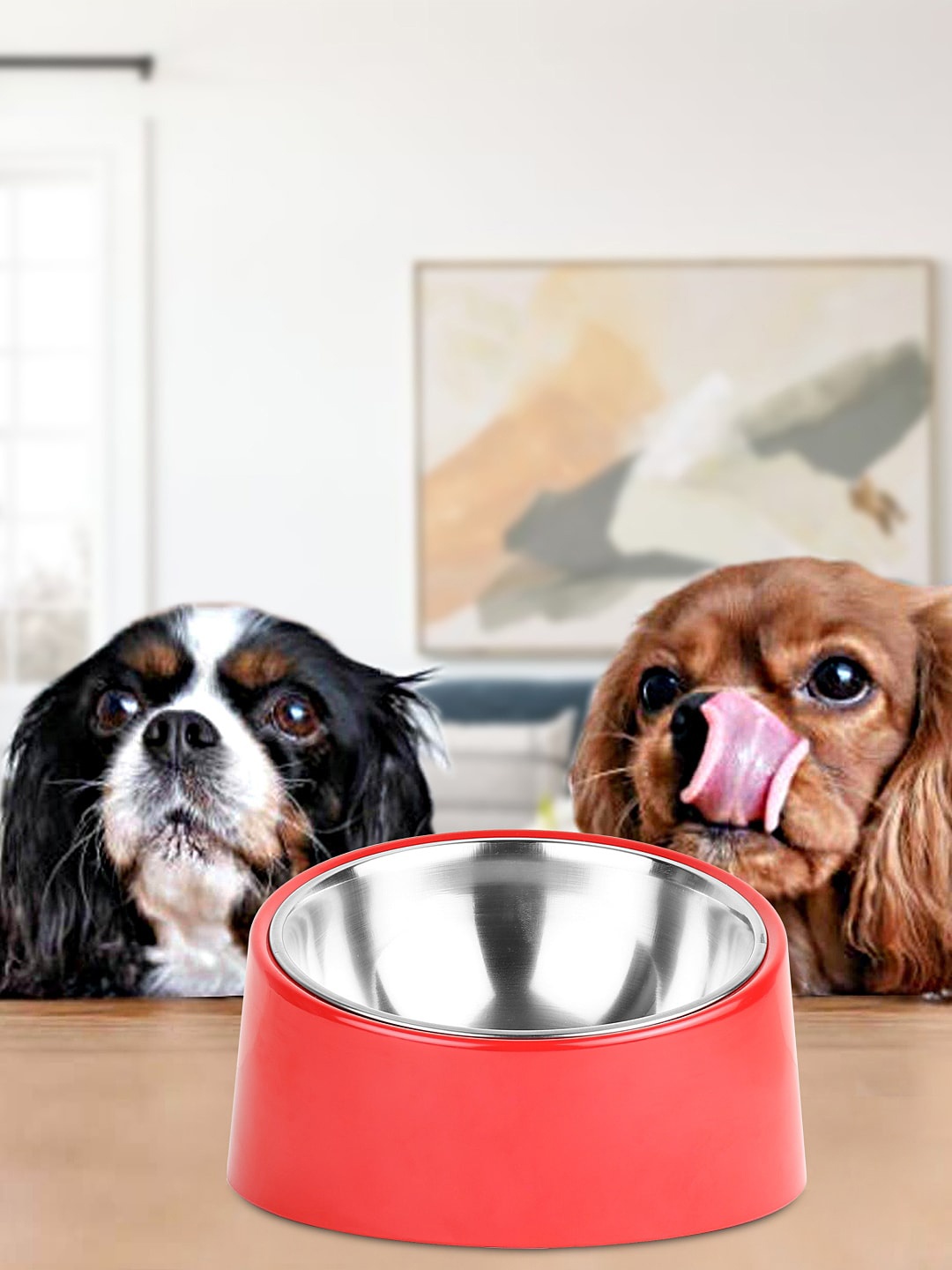 

WIGGLE TWIDDLE Red Solid Pet Bowls