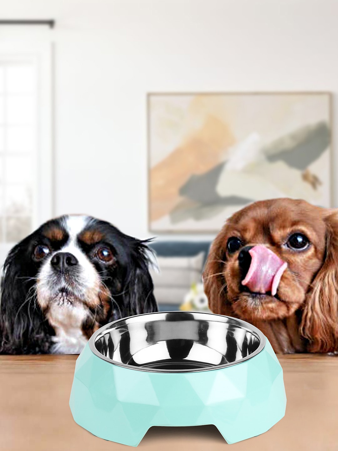 

WIGGLE TWIDDLE Green & Silver -Toned Solid Dog Food Bowl