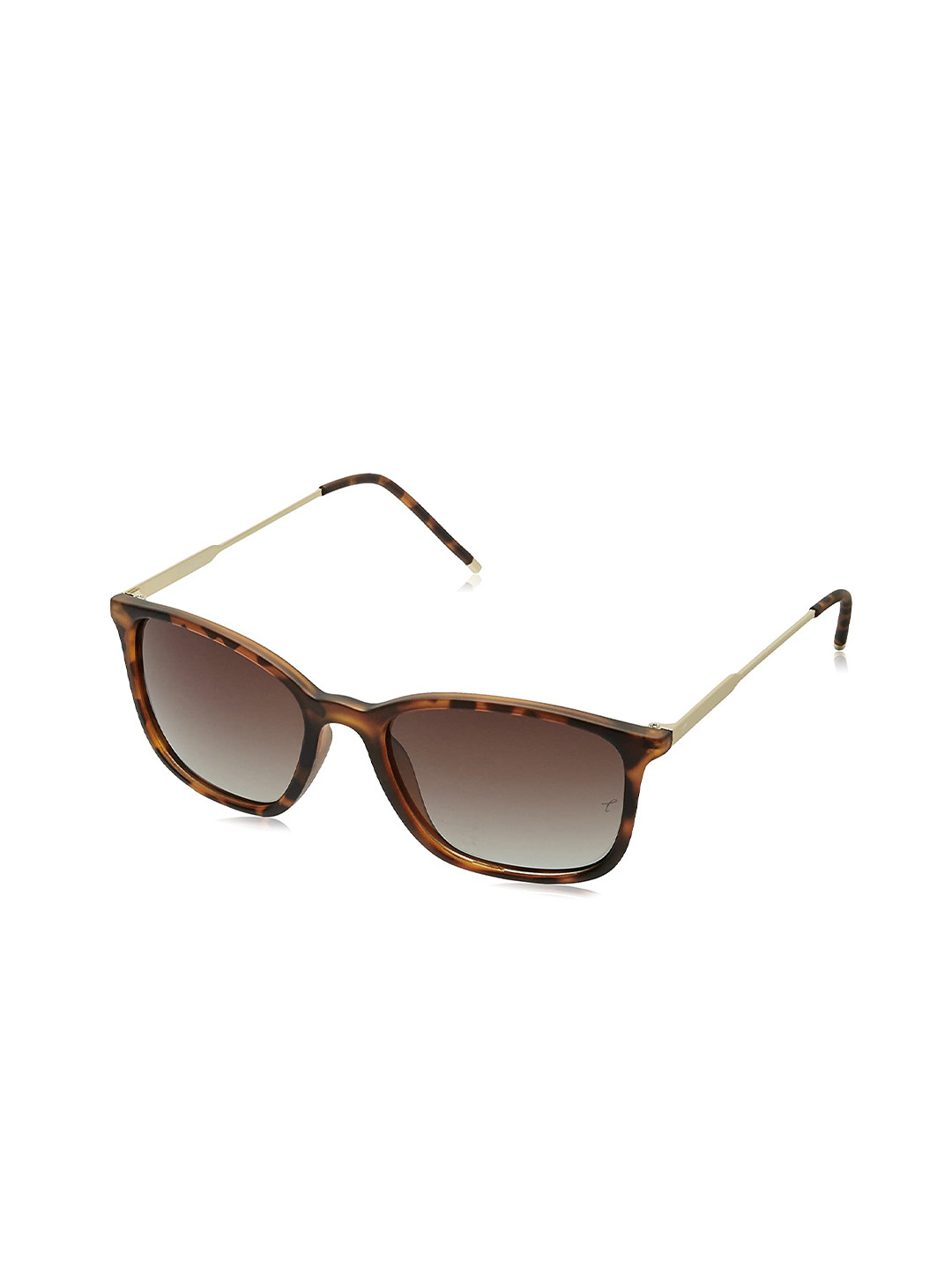 

Titan Unisex Brown Lens & Brown Square Sunglasses with Polarised and UV Protected Lens
