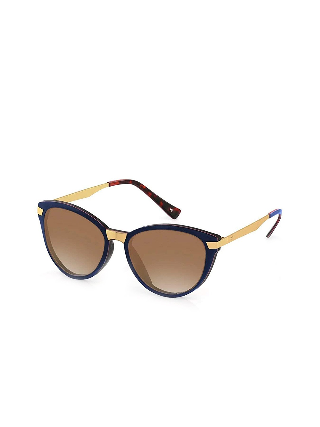 

Titan Unisex Brown Lens & Blue Cateye Sunglasses with UV Protected Lens-G250PTFLMB