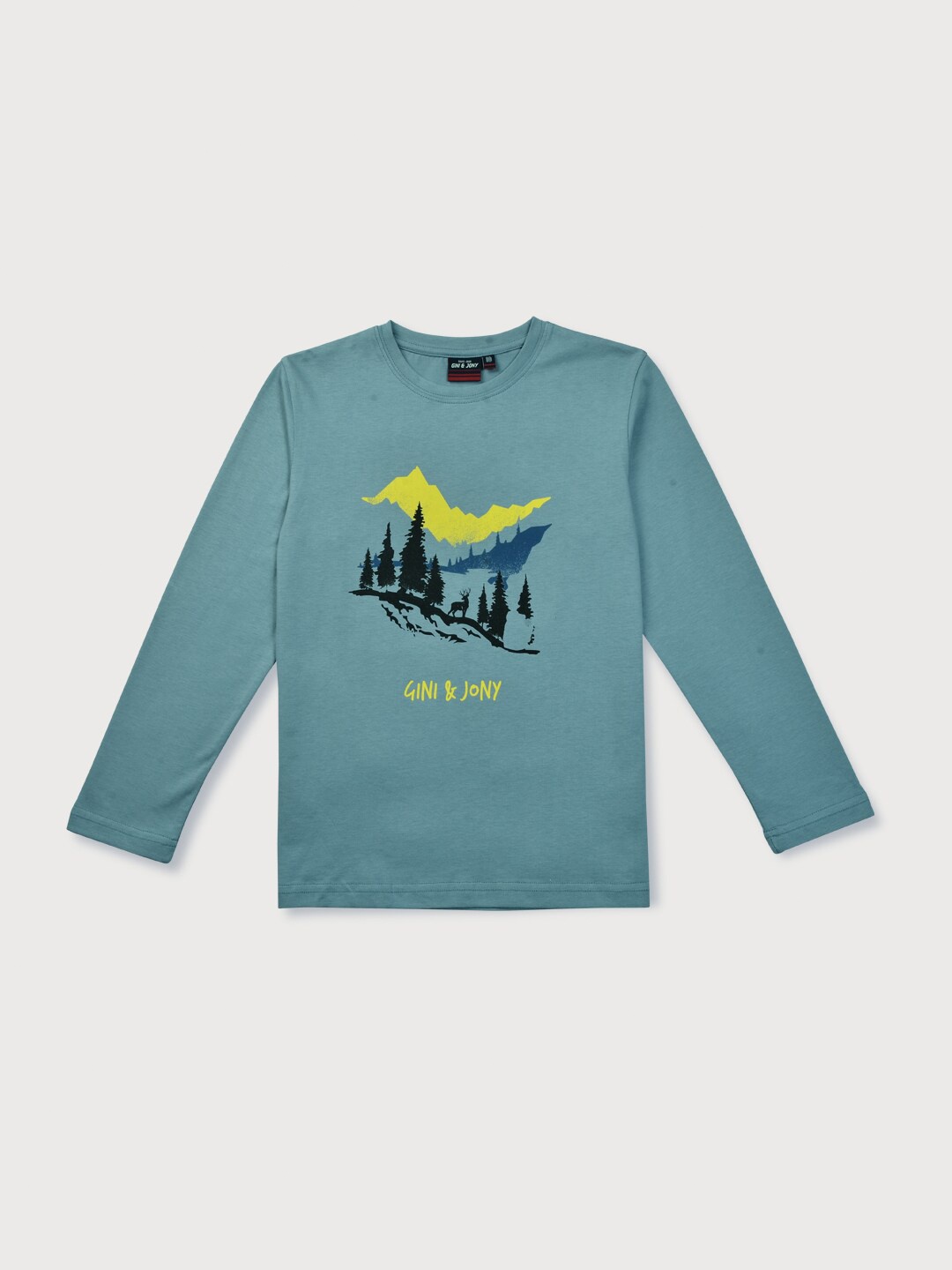 

Gini and Jony Boys Blue Printed T-shirt