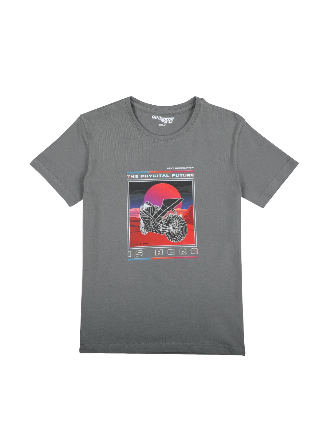 

Gini and Jony Boys Grey & purple ash T-shirt