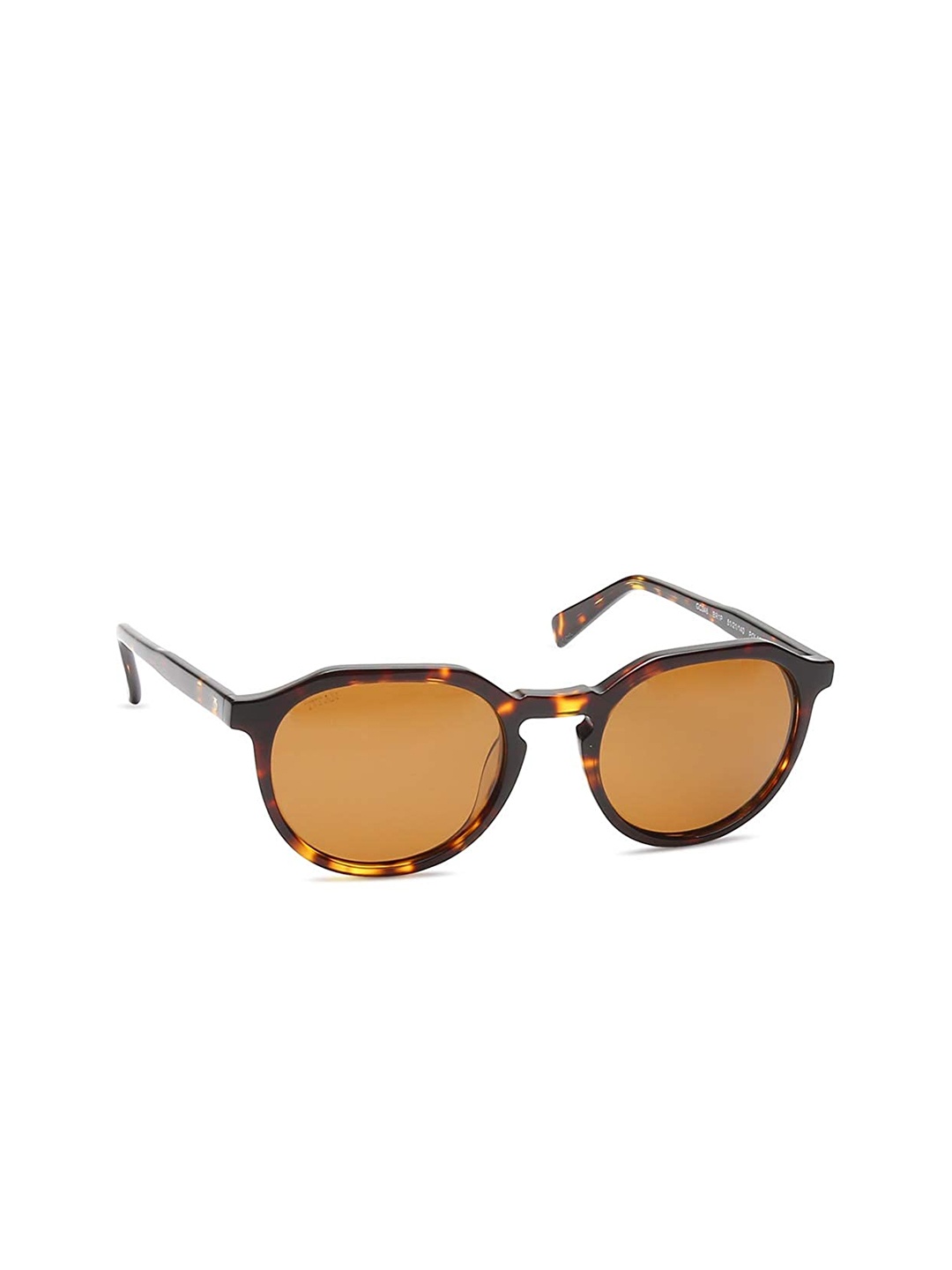 

Titan Unisex Brown Lens & Brown Square Sunglasses with Polarised and UV Protected Lens