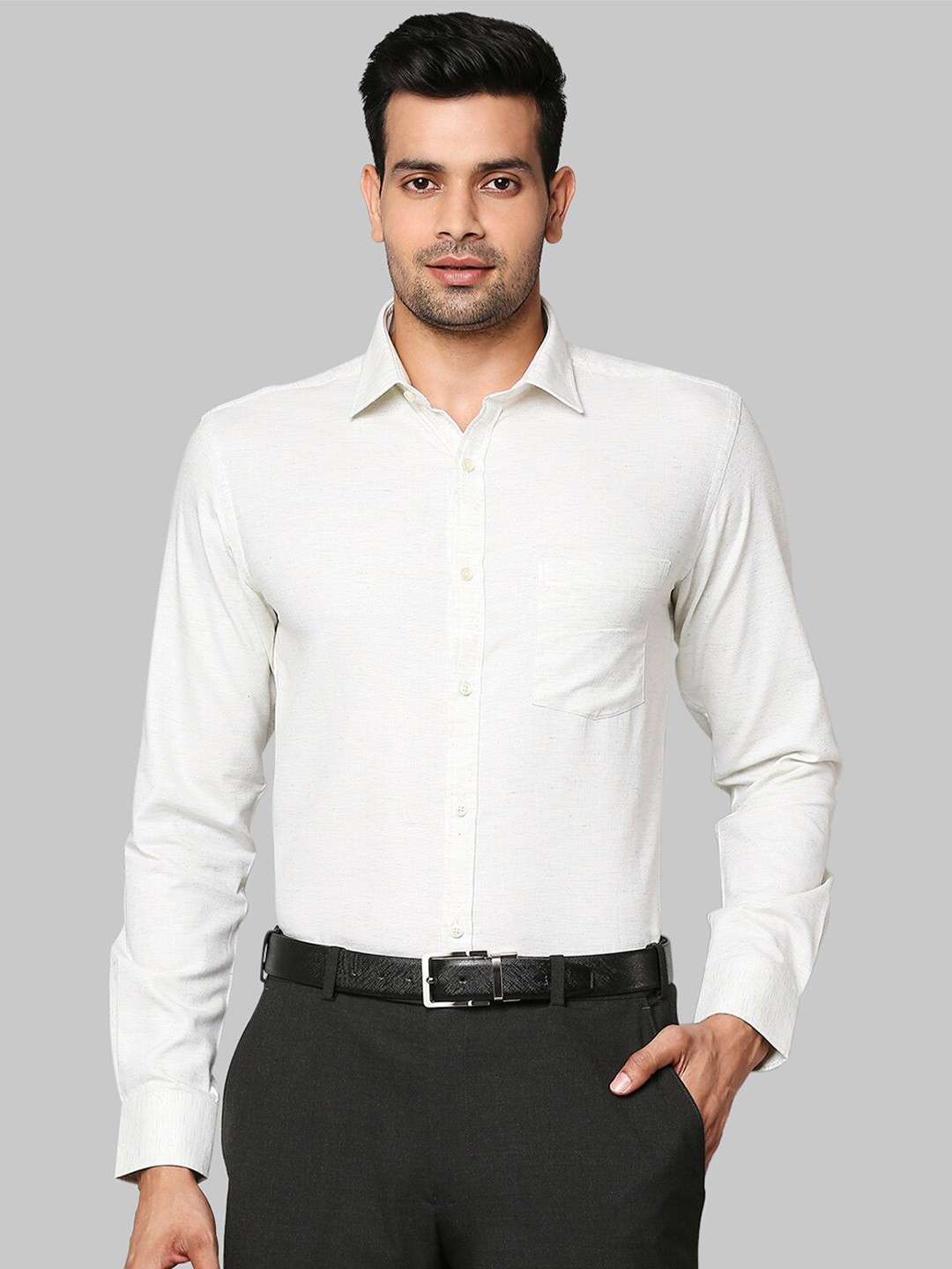 

Park Avenue Men Green Slim Fit Formal Shirt