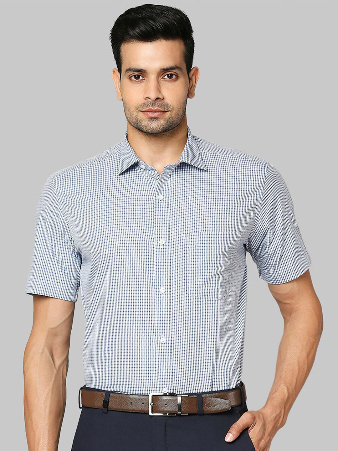 

Park Avenue Men Blue Slim Fit Micro Checks Checked Formal Shirt