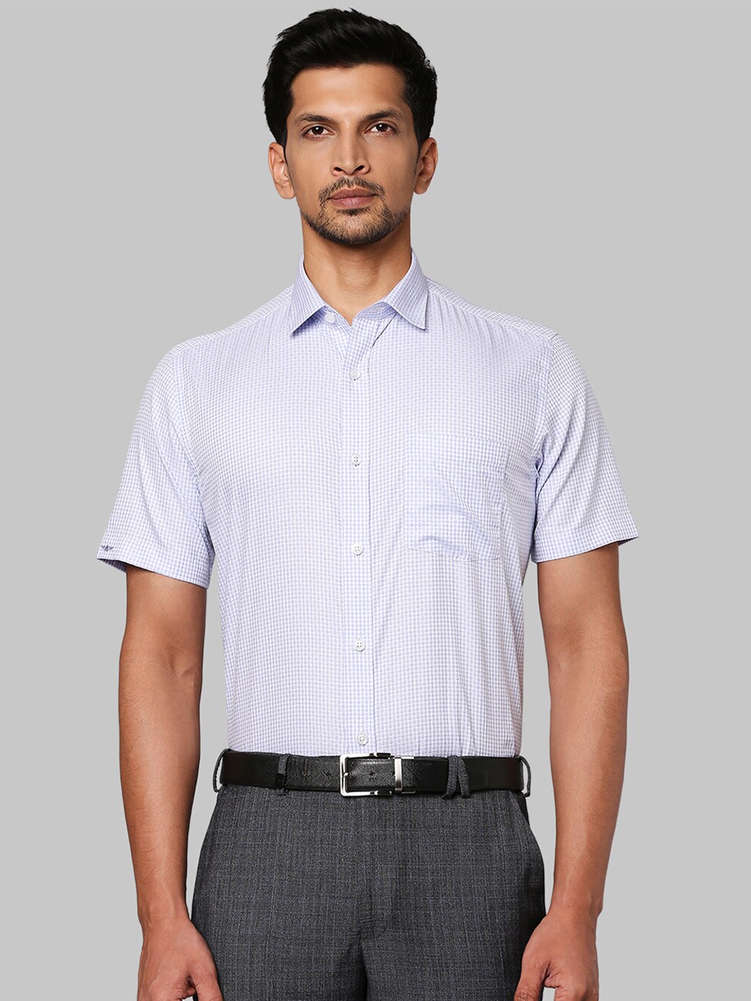 

Park Avenue Men Blue Slim Fit Striped Formal Shirt