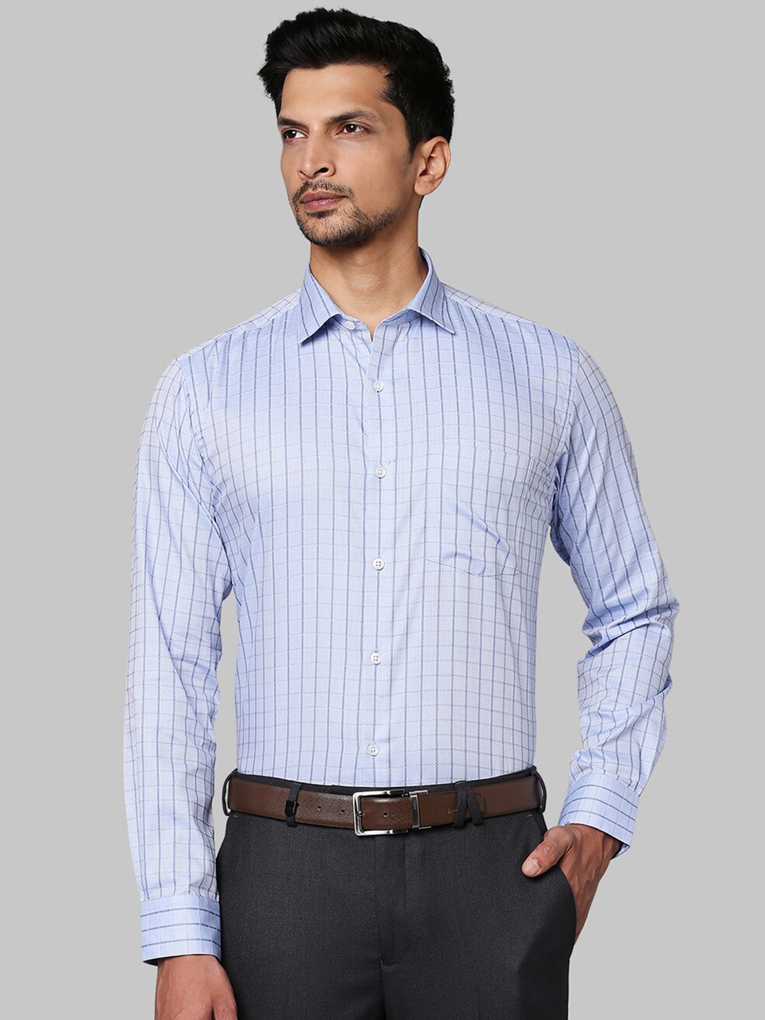 

Park Avenue Men Blue Slim Fit Checked Formal Shirt