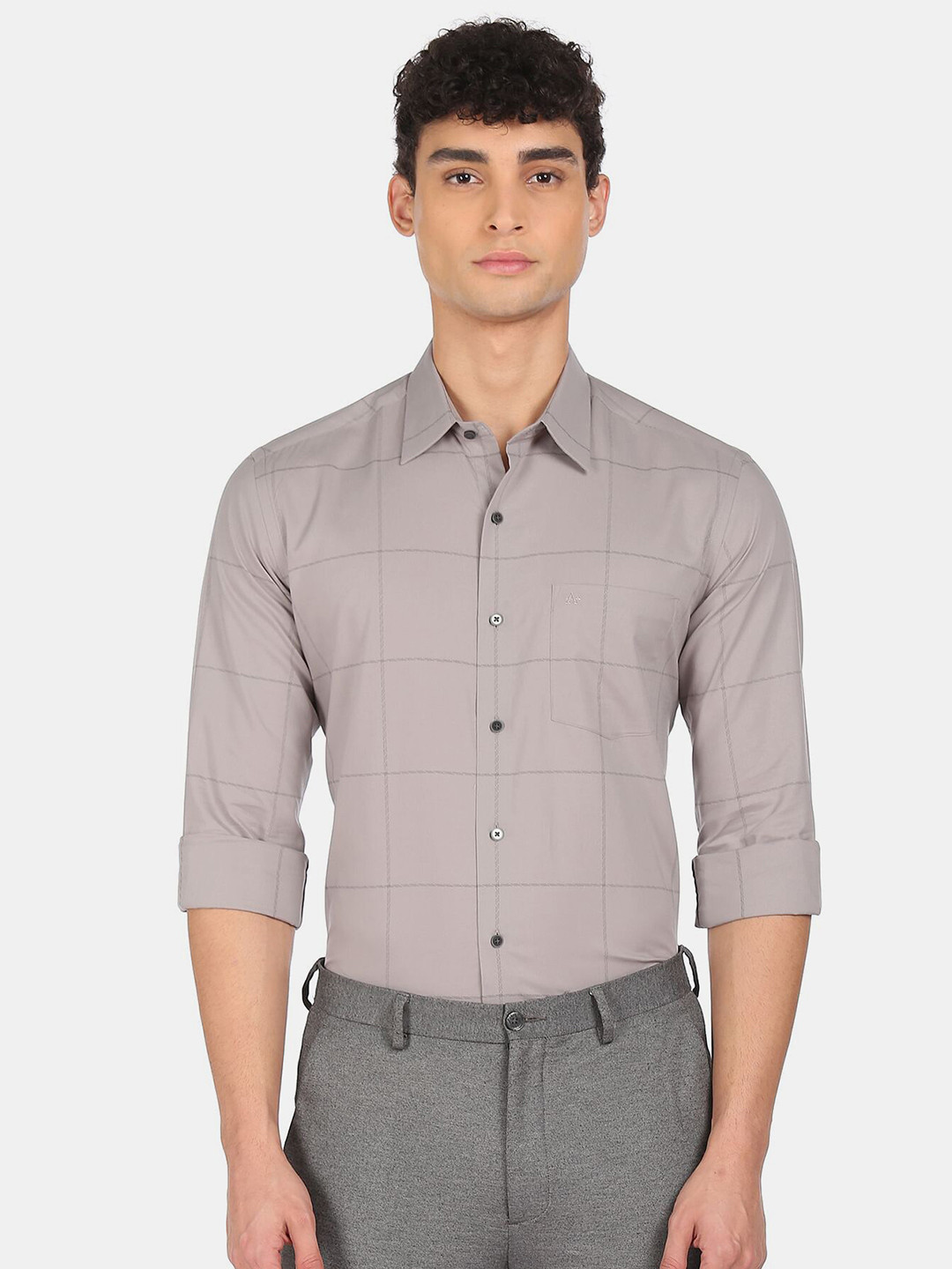 

Arrow Men Grey Windowpane Checked Formal Shirt