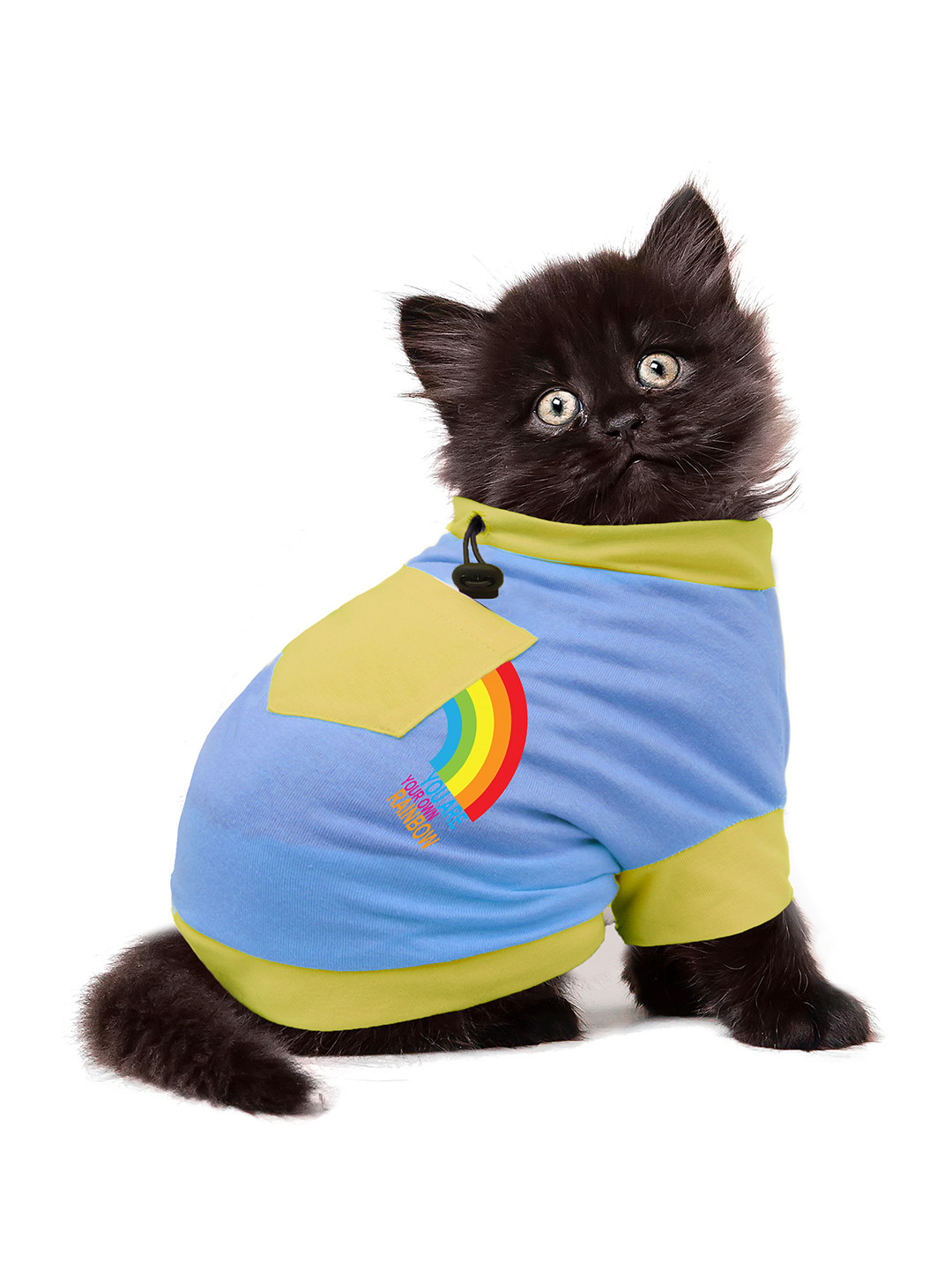 

Dchica Paws Blue Printed Cat Tshirts