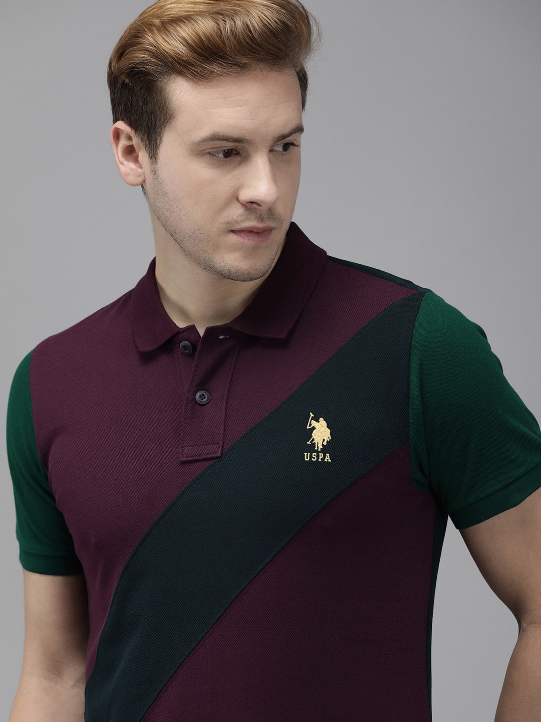 

U.S. Polo Assn. Men Purple & Navy Blue Striped Pure Cotton Slim Fit T-shirt