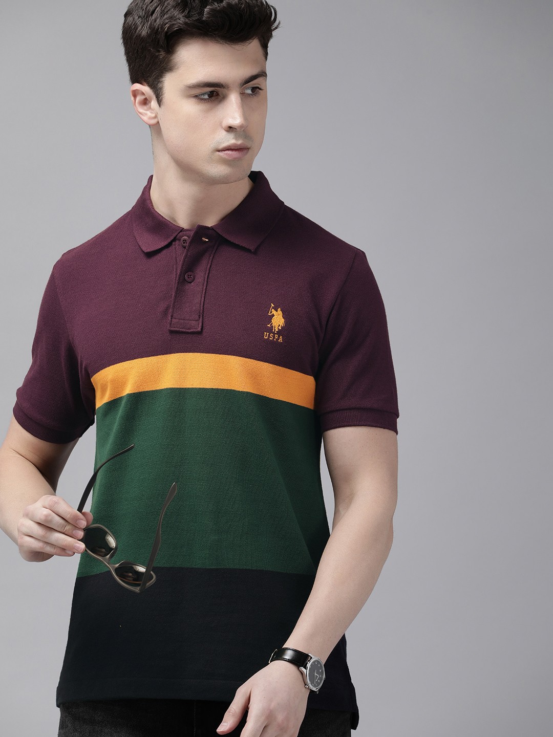 

U S Polo Assn Colourblocked Polo Collar Pure Cotton Slim Fit T-shirt, Purple