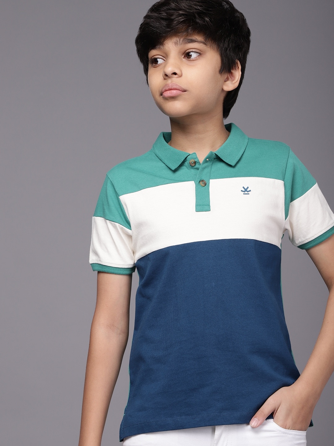 

WROGN YOUTH Boys Navy Blue & Green Colourblocked Polo Collar Pure Cotton T-shirt