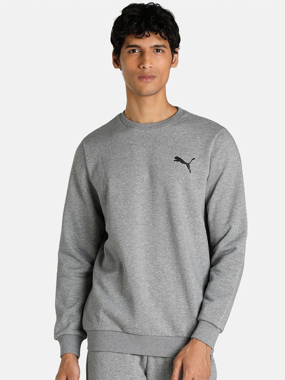 

Puma Men Grey Essential Small Logo Regular Fit Sweatshirt