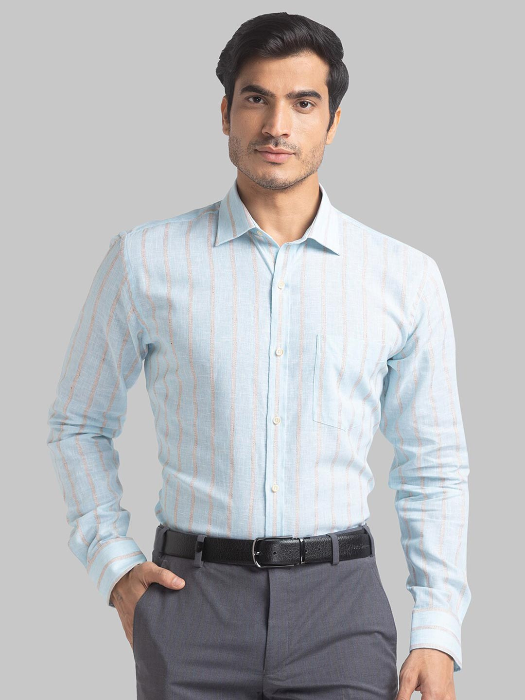 

Park Avenue Men Blue Slim Fit Striped Formal Shirt