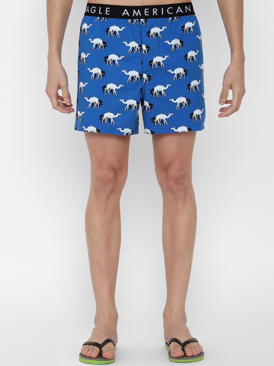 

AMERICAN EAGLE OUTFITTERS Men Blue Printed Boxers WEC0232516464
