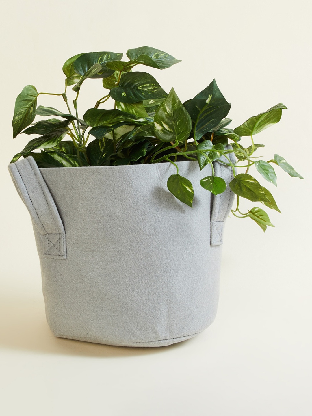 

Home Centre Valencia Essense Grey Solid Grow Bag