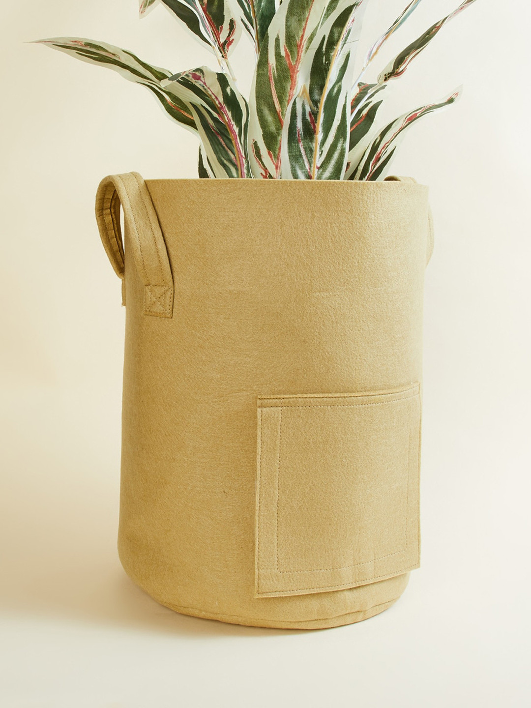 

Home Centre Valencia Essense Beige Solid Essential Grow Bag