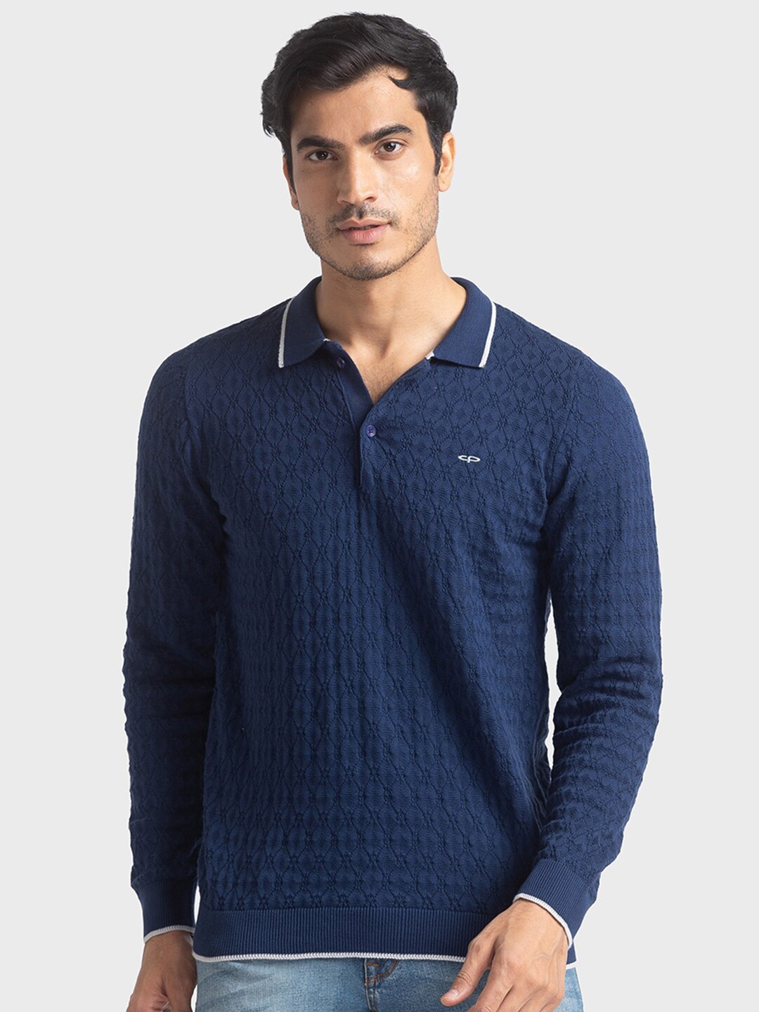 

ColorPlus Men Blue Polo Collar T-shirt