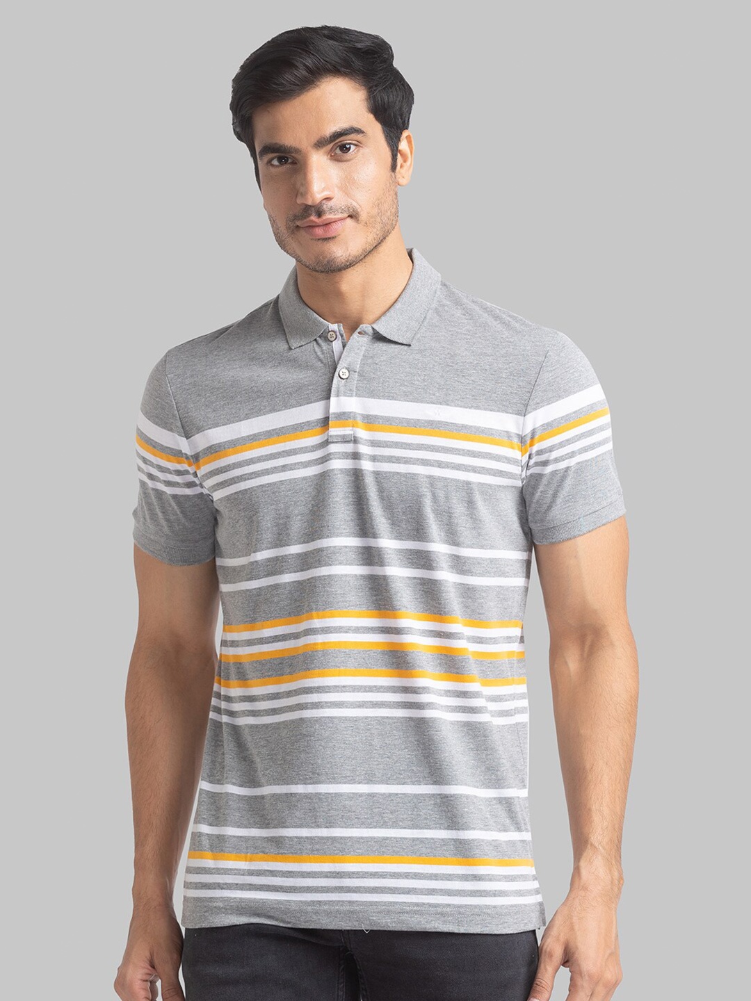 

Park Avenue Men Grey Striped Polo Collar Slim Fit T-shirt