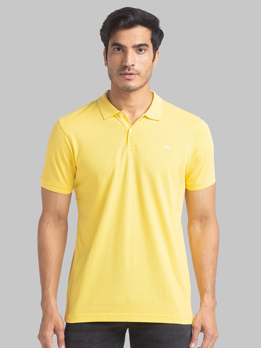 

Park Avenue Men Yellow Polo Collar Slim Fit T-shirt