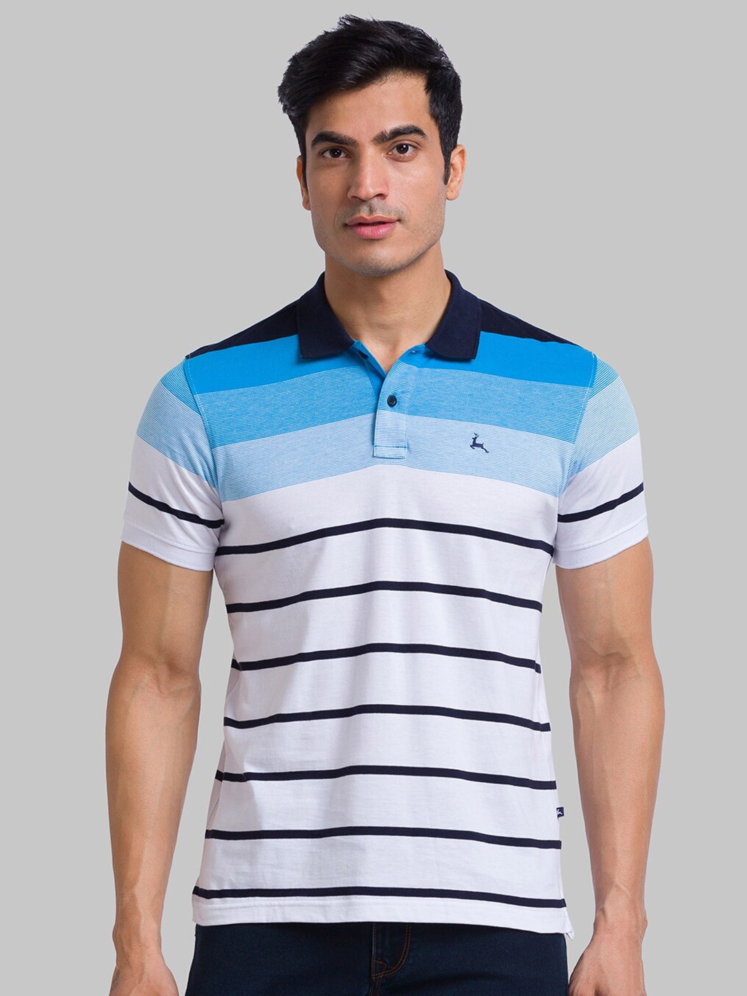 

Parx Men Blue Striped Polo Collar T-shirt