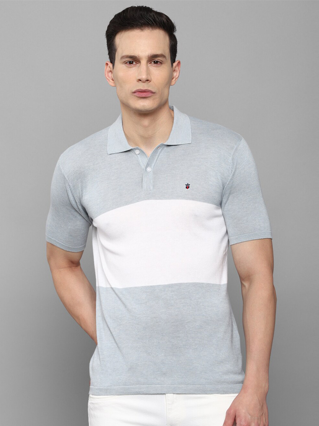 

Louis Philippe Jeans Men Grey & White Colourblocked Polo Collar Slim Fit T-shirt