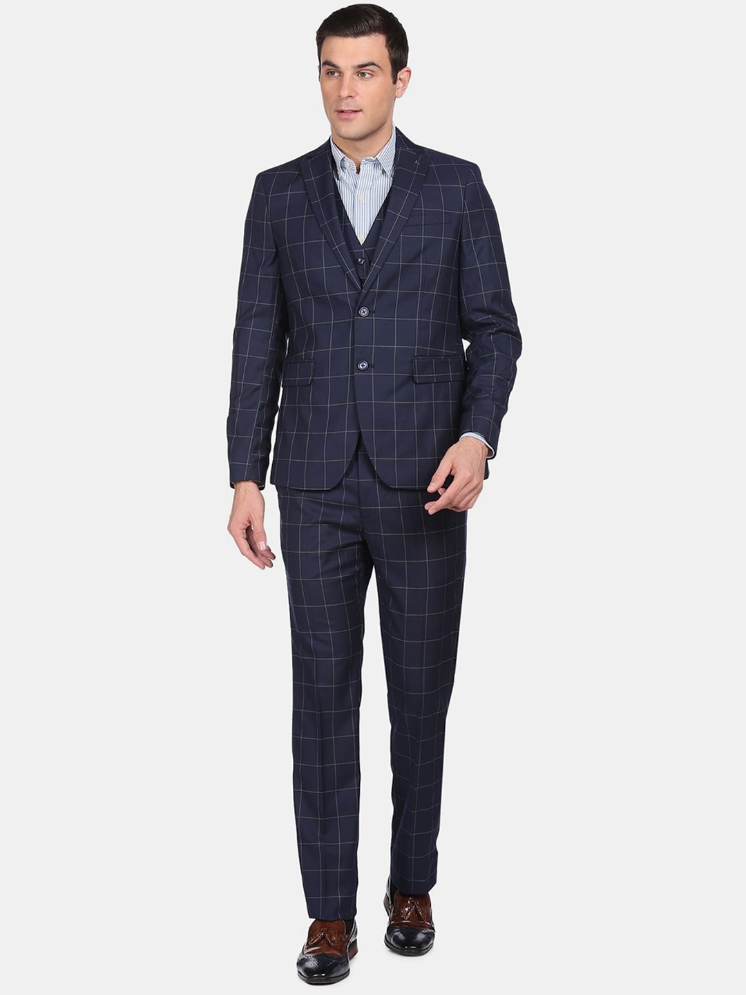 

Arrow Men Navy Blue Checked Regular-Fit Single-Breasted 3-Piece Formal Suit