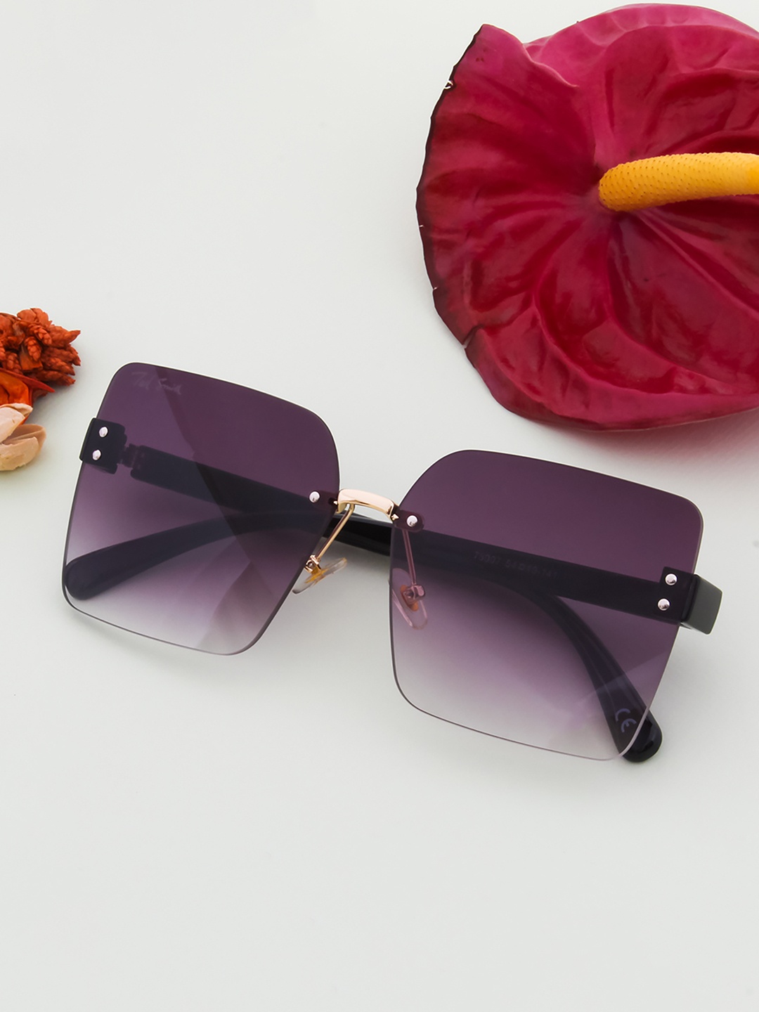 

Ted Smith Unisex Grey Lens & Gold-Toned Square Sunglasses with UV Protected Lens