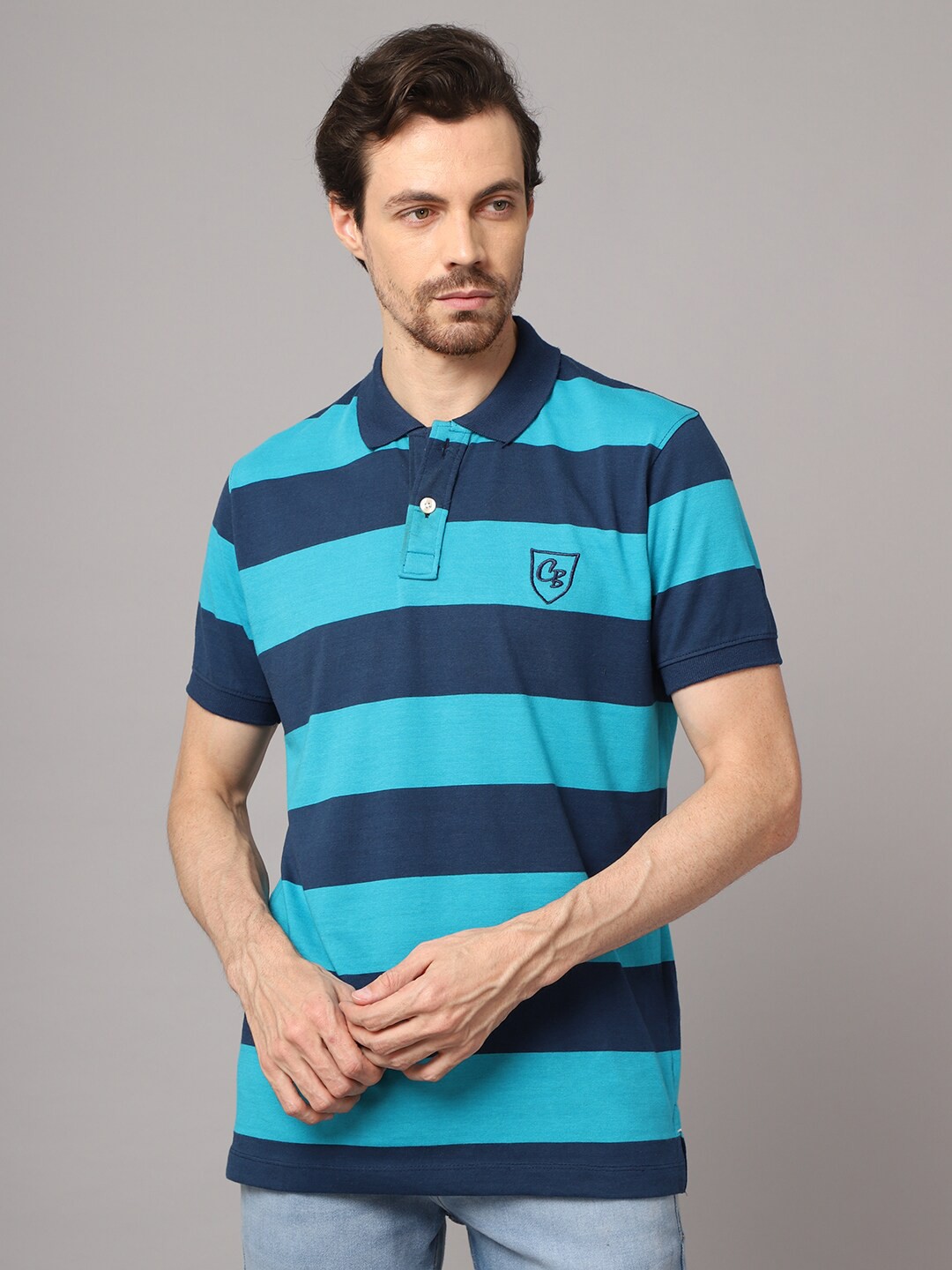 

Cantabil Men Turquoise Blue & Navy Blue Brand Logo Striped Polo Collar T-shirt