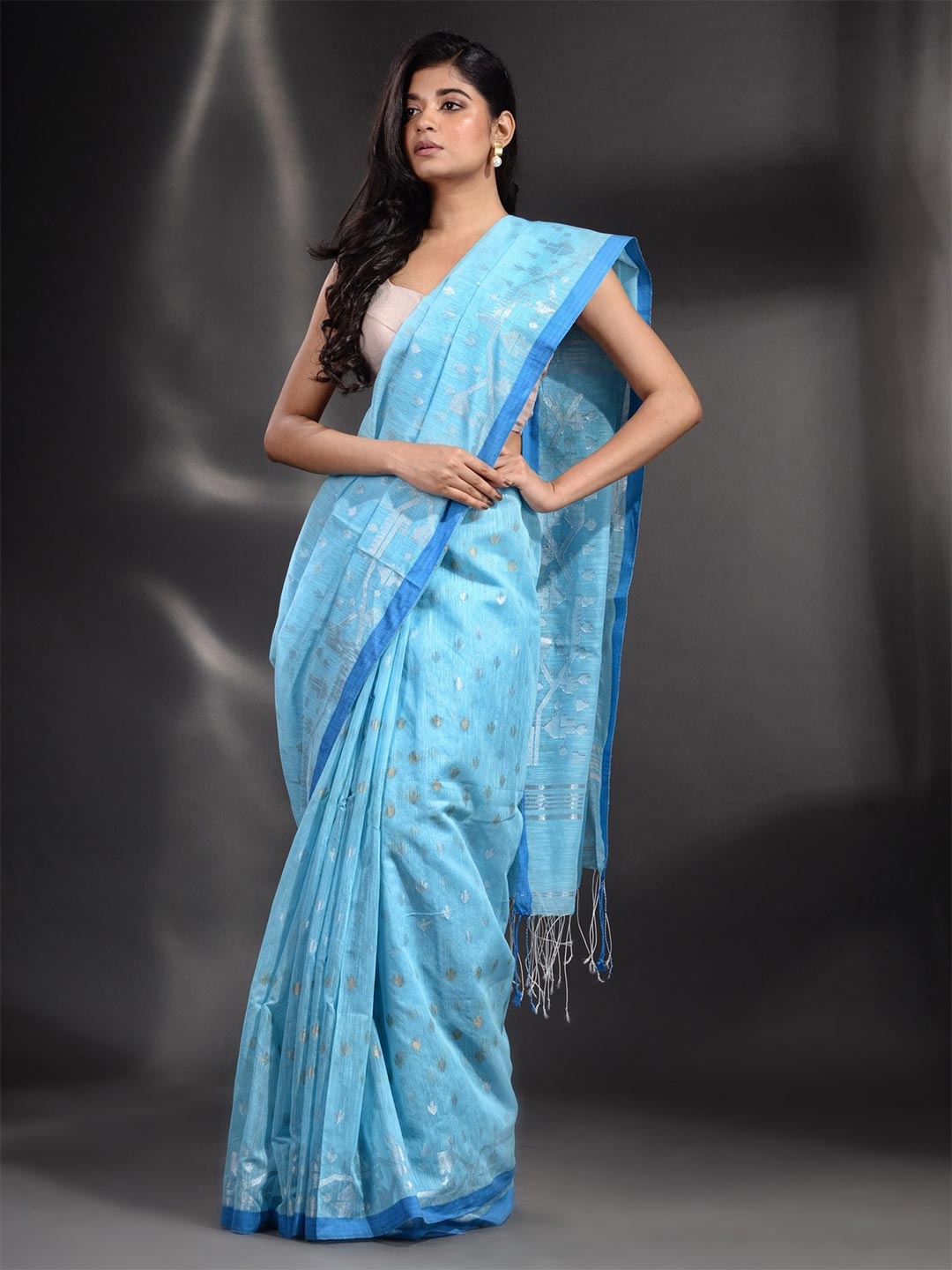 

Arhi Women Blue & Silver-Toned Woven Design Pure Cotton Saree