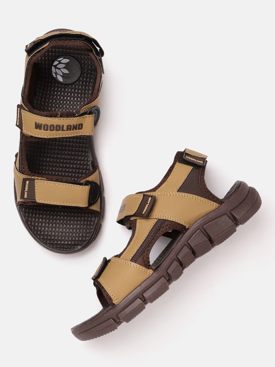 

Woodland Men Beige & Coffee Brown Solid Sports Sandals