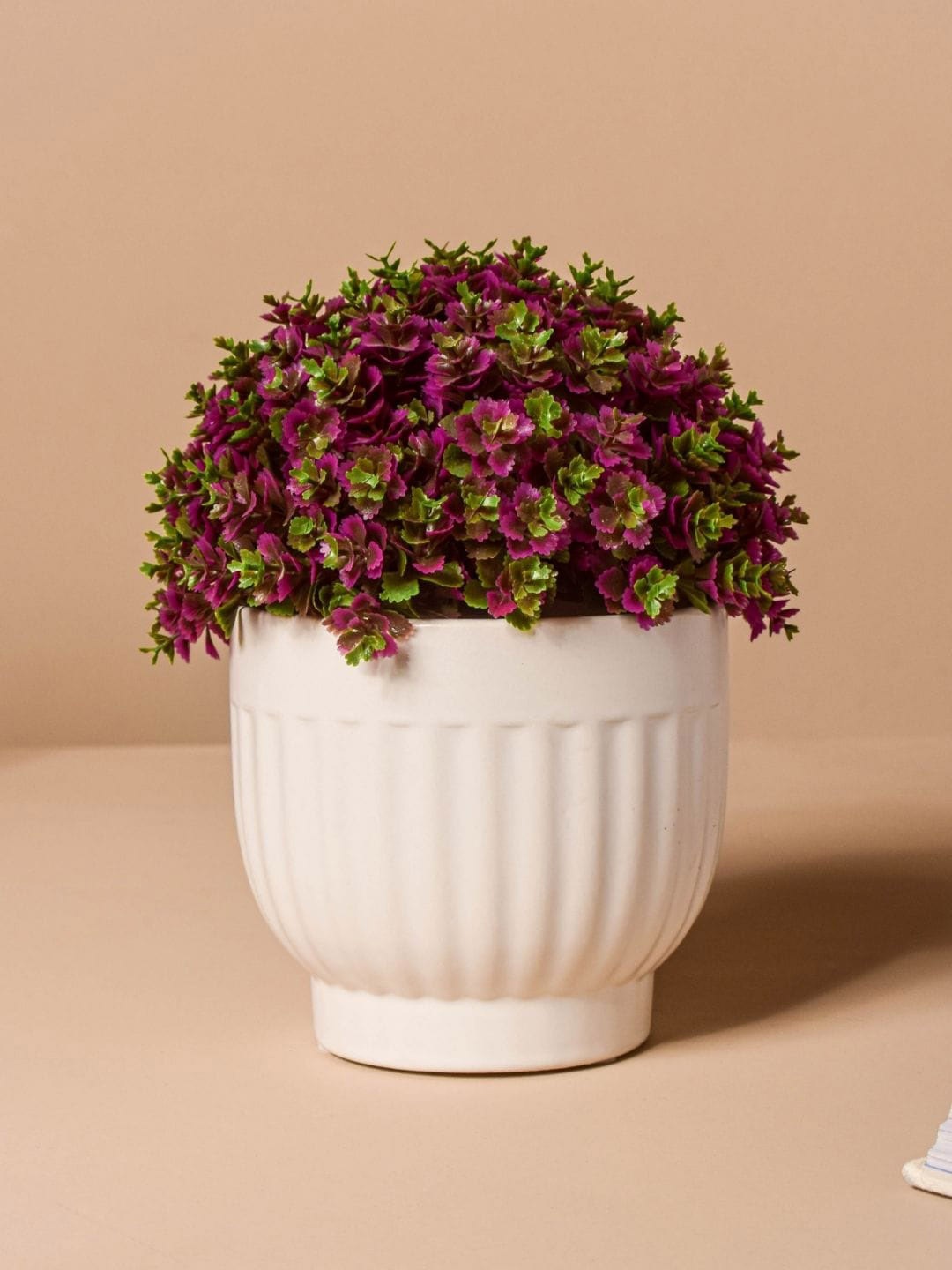

Nestasia White Ribbed Ceramic Vase