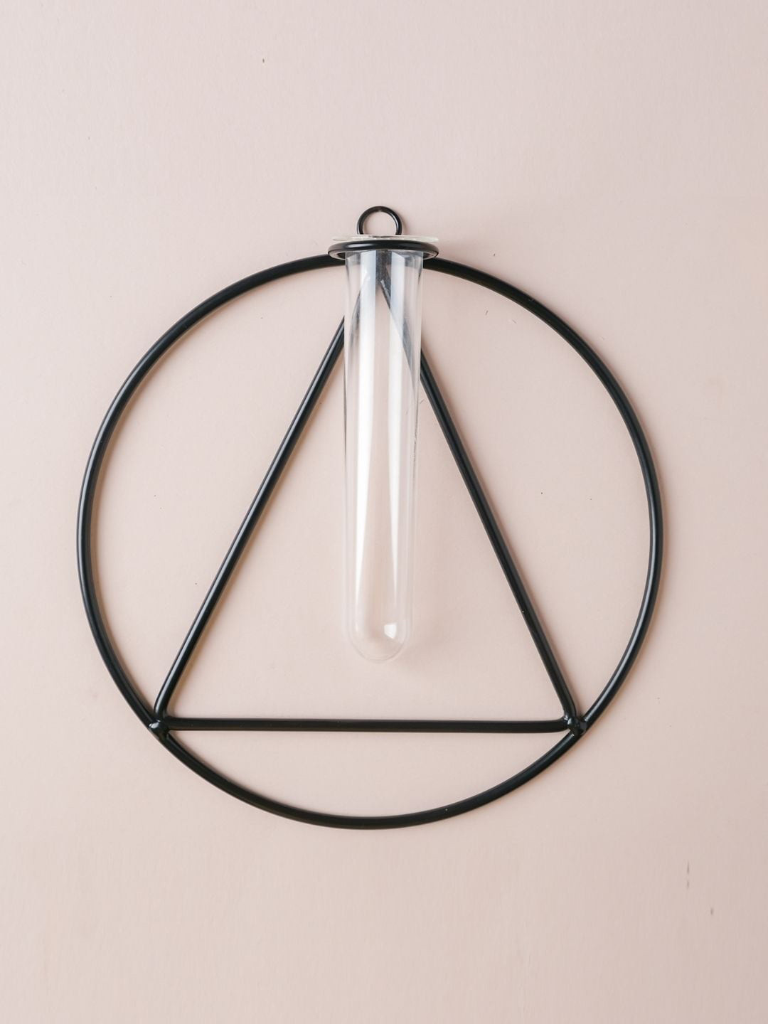 

Nestasia Black & Transparent Triangle Shaped Hanging Glass Planter