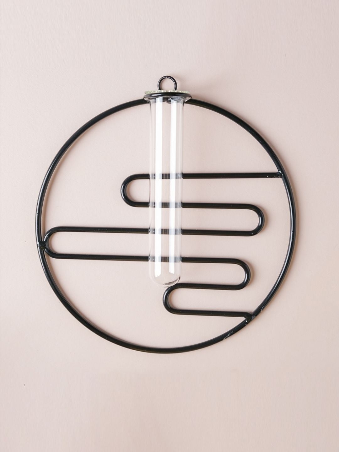 

Nestasia Black Round Shaped Hanging Glass Planter, Transparent