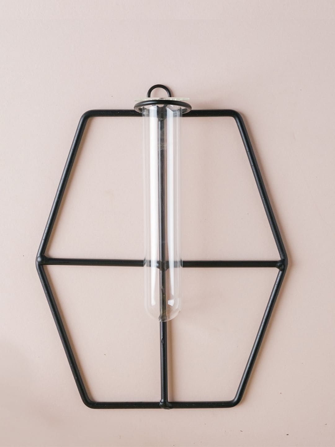 

Nestasia Transparent & Black Solid Hexagon Planter