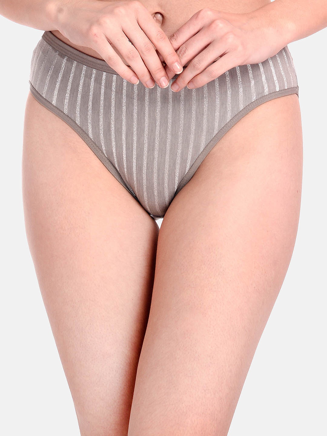 

LOTUSLEAF Women Grey Striped Printed Full Coverage Bridal Bikini Briefs