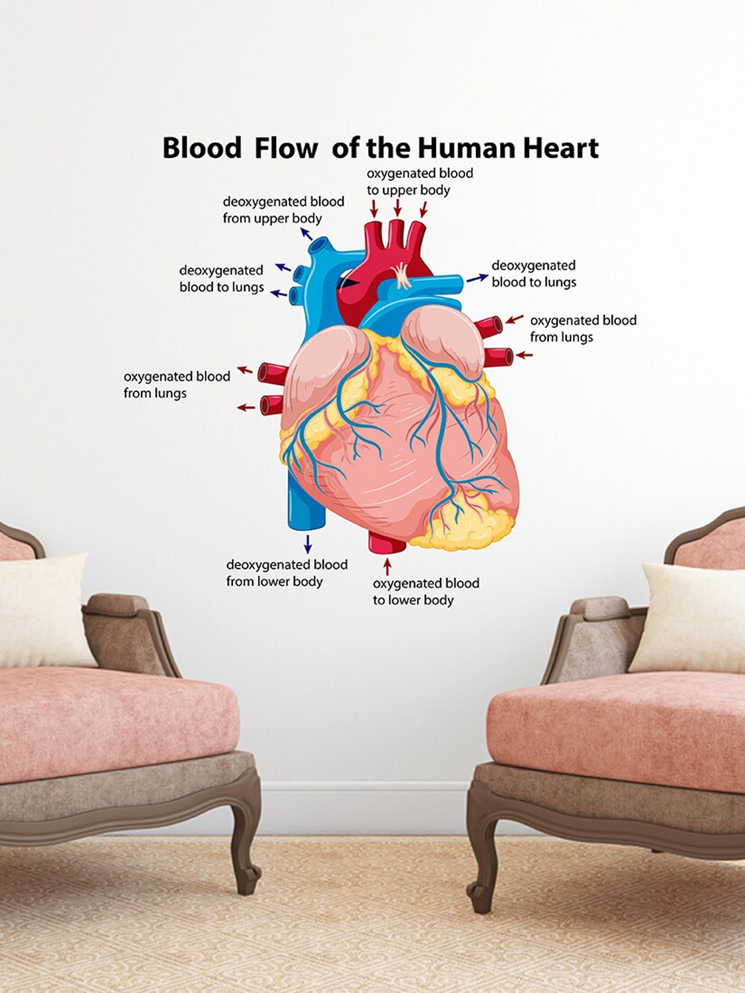 

WALLSTICK Red Biological Parts of Heart Vinyl Wall Sticker