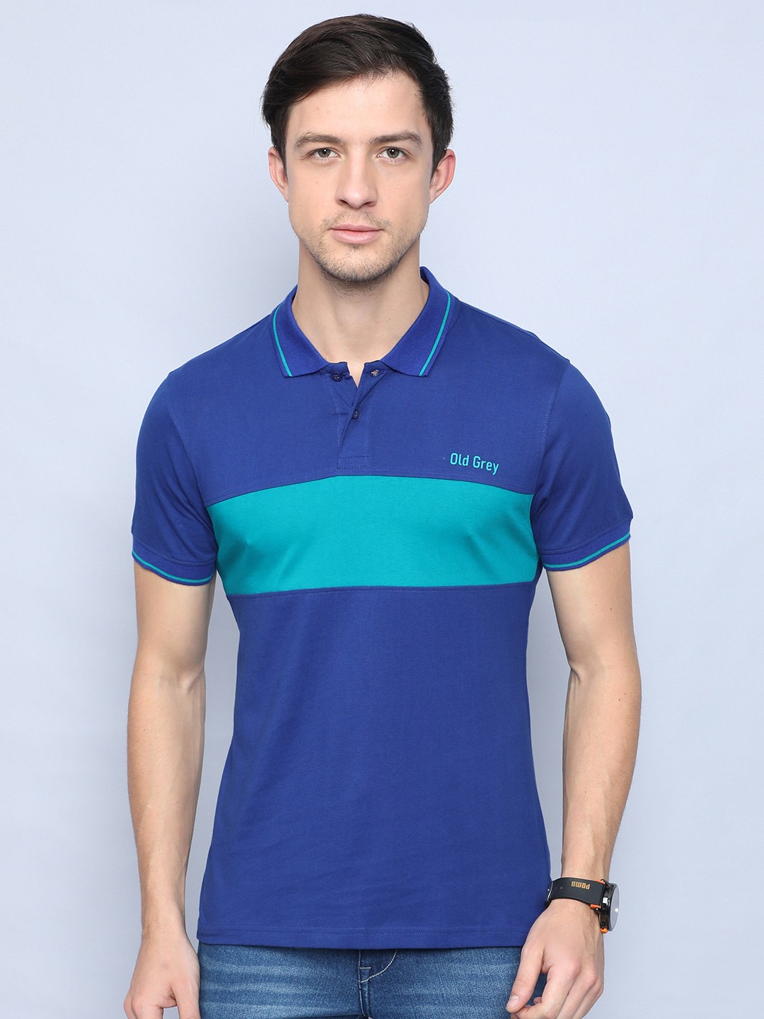 

Old Grey Men Blue Polo Collar Slim Fit T-shirt