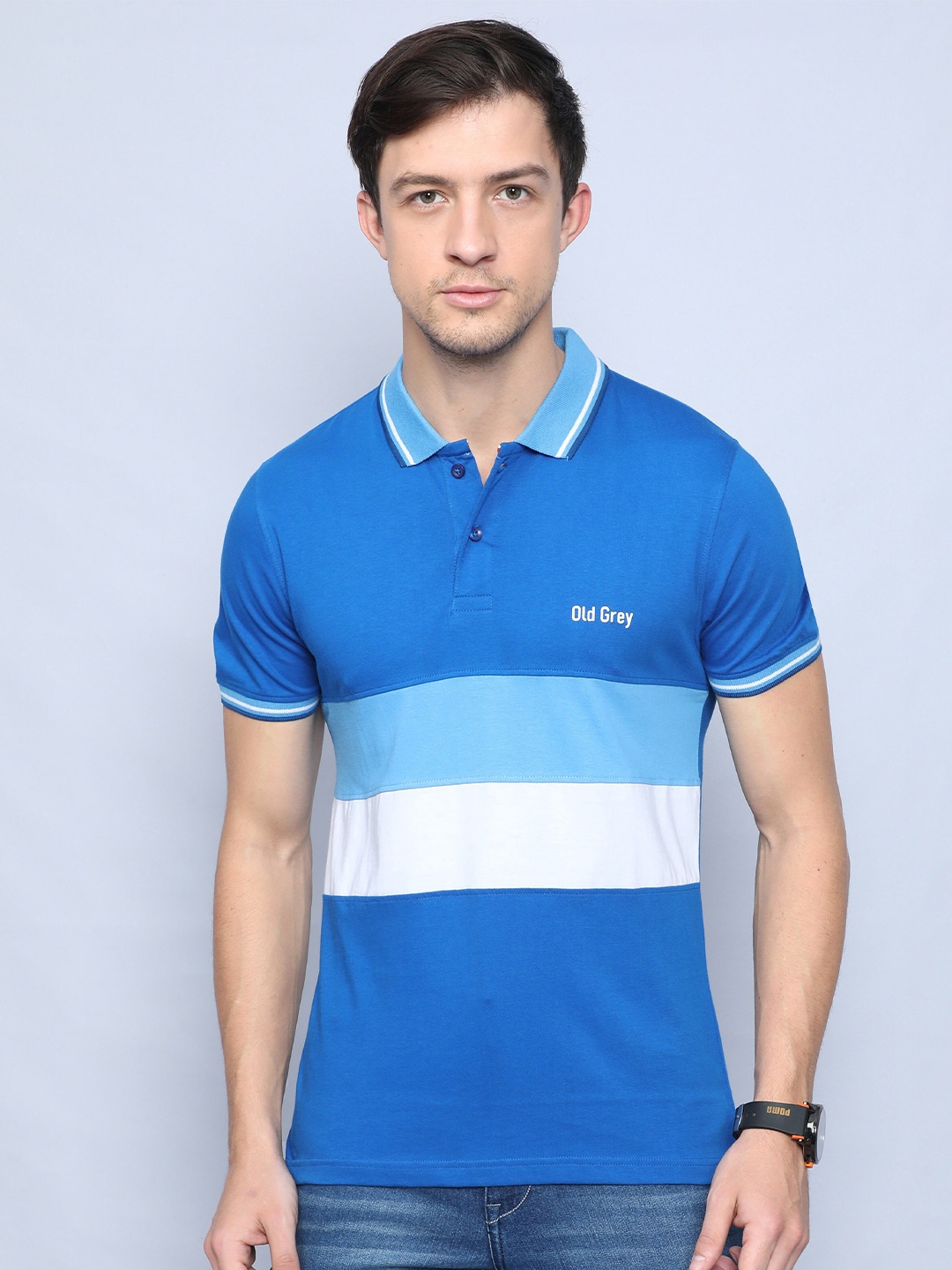 

Old Grey Men Blue Colourblocked Polo Collar Slim Fit T-shirt