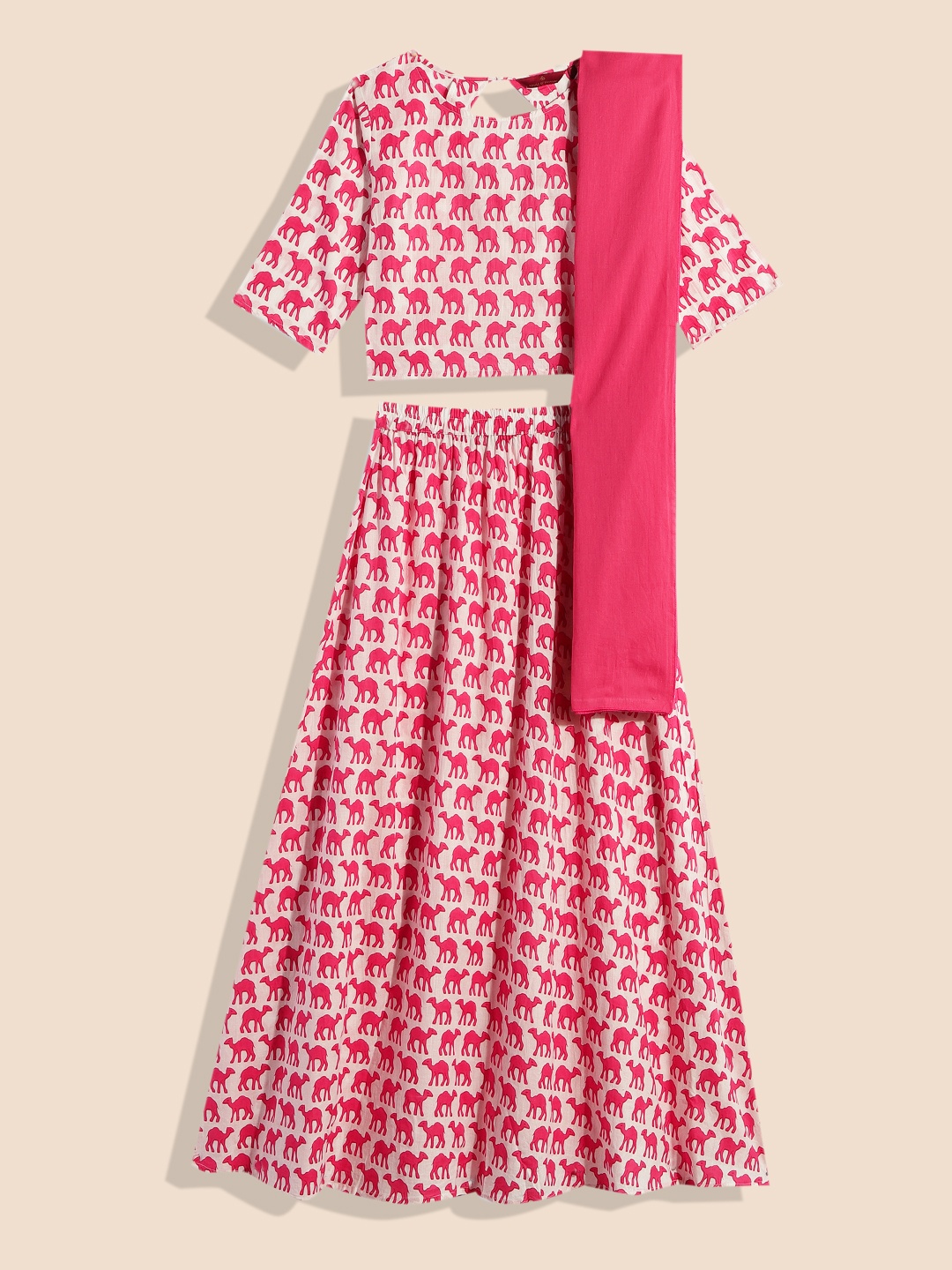 

House of Pataudi Girls Pink & White Printed Pure Cotton Top with Skirt & Dupatta