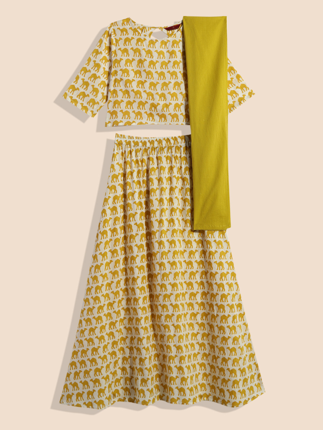 

House of Pataudi Girls Mustard & White Printed Pure Cotton Top with Skirt & Dupatta