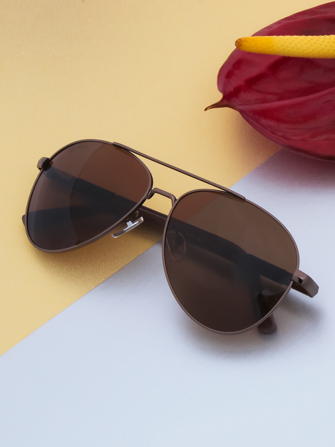 

Ted Smith Unisex Brown Lens & Brown Aviator Sunglasses with UV Protected Lens