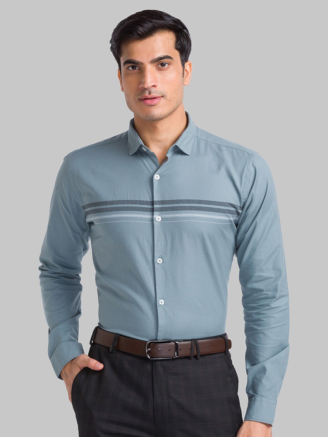 

Park Avenue Men Grey Slim Fit Striped Casual Shirt