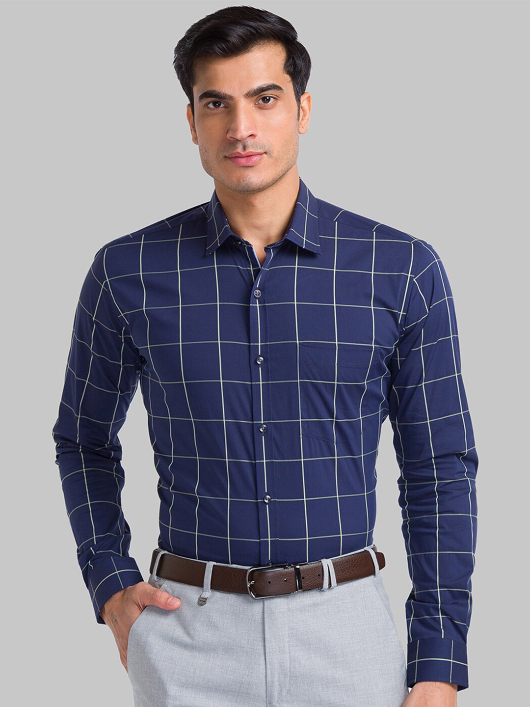 

Park Avenue Men Blue Slim Fit Windowpane Checks Checked Formal Shirt